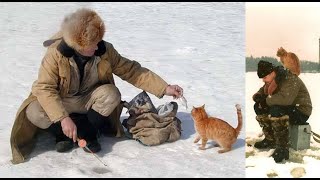 Угостил кота рыбкой и понеслось...Теперь у меня около 20 котов! История рыбака и кота-султана!