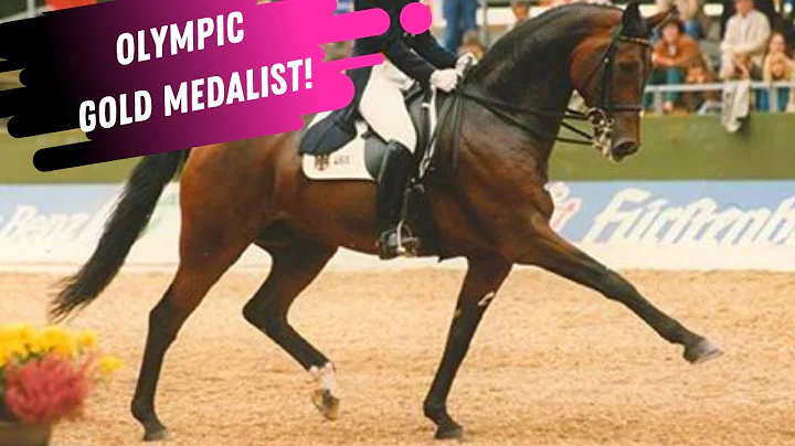 Olympic Gold Medalist Dressage Rider Nicole Uphoff...