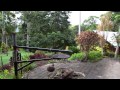 263 Oak Forest Road, Kuranda 4881 - SWEEPING MEADOWS ON 40 ACRES 263 Oak Forest Road, Kuranda 4881 - SWEEPING MEADOWS ON 40 ACRES