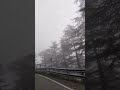 shimla to kufri #youtube #youtubeshorts #india #music #90songslovers #explorepage #trending #######