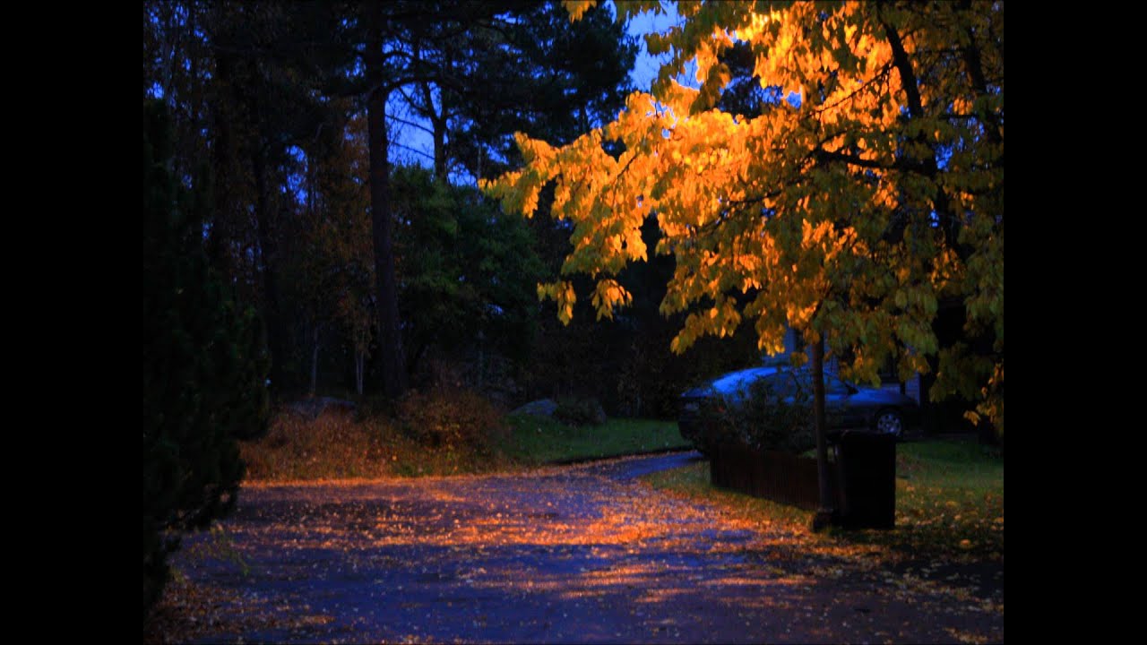 Jag Skall Gå Genom Tysta Skyar