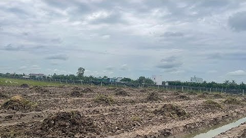 ĐẤT RUỘNG LÊN LIẾP TRỒNG SẦU RIÊNG VÀ NHỮNG ĐIỀU CẦN LƯU Ý CÙNG KS VINH 0398600707