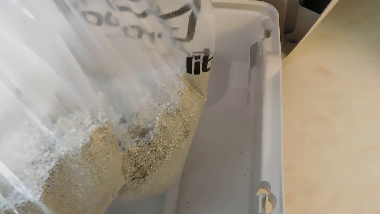 Removing Waste Drawer to Clean the Litter Robot YouTube