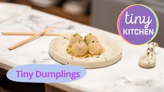 Tiny Dumplings Tiny Kitchen