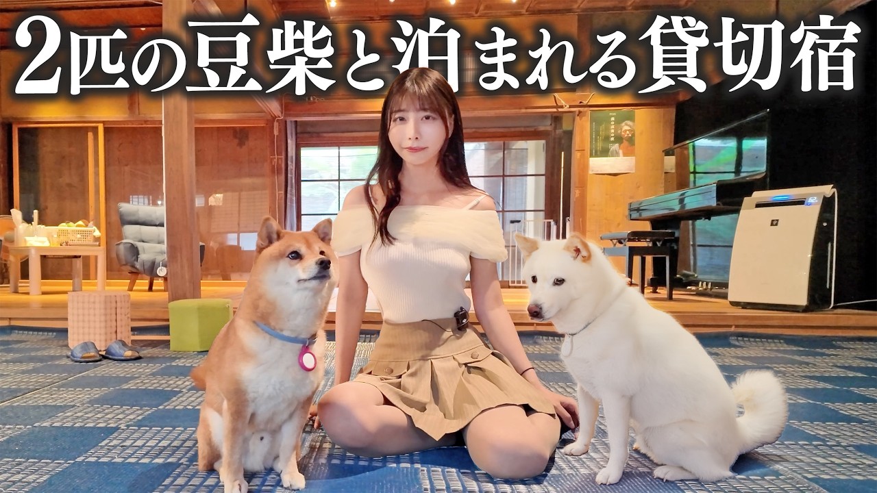 2匹の豆柴と過ごせる貸切のお宿に泊まったら、想像以上に...