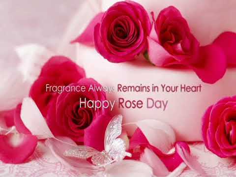 Happy Rose Day new full hd video 2022 //Rose day Whatsapp Status #happyrosedaywishes #whatsappstatus