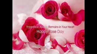 Happy Rose Day new full hd video 2023 //Rose day Whatsapp Status #happyrosedaywishes #whatsappstatus