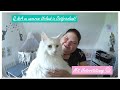 Wer kommt mit? || Q&amp;A zu unserem Urlaub! || Reborn Baby Deutsch || Little Reborn Nursery