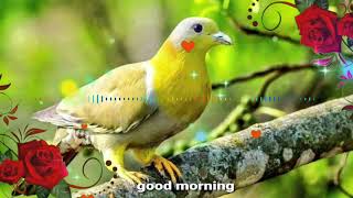 GOOD MORNING video  - Whatsapp, status  Wishes, Quotes, Message, Greetings full HD biutiful image screenshot 4