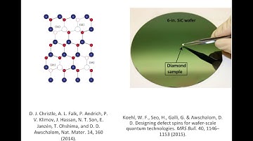 Defects in Silicon Carbide as a Qubit Architecture