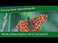 Makrofotografie: 5. Welches Makroobjektiv soll ich mir kaufen?