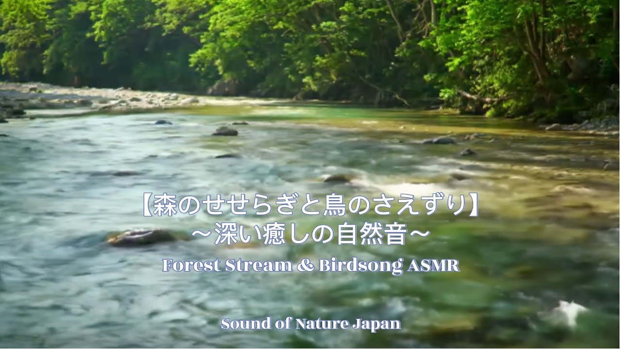 【2時間 森のせせらぎと鳥のさえずり】深い癒しの自然音|Forest Stream & Birdsong ASMR|Sound of ...