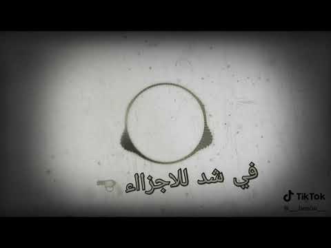دنيا مفيش اخلاق الدبه