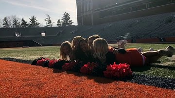 Fighting Illini Cheerleading 2016-2017