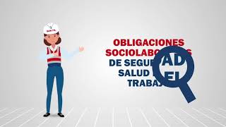 ¿Cuál es la función de la inspección del trabajo?