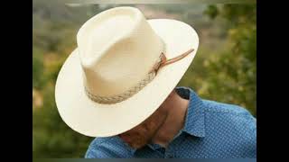 Sunlight By Divya Darshini