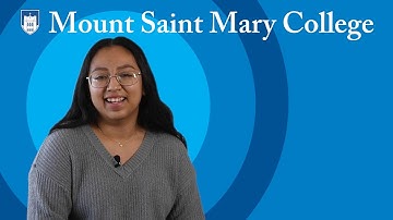 My MSMC Experience: The School of Business