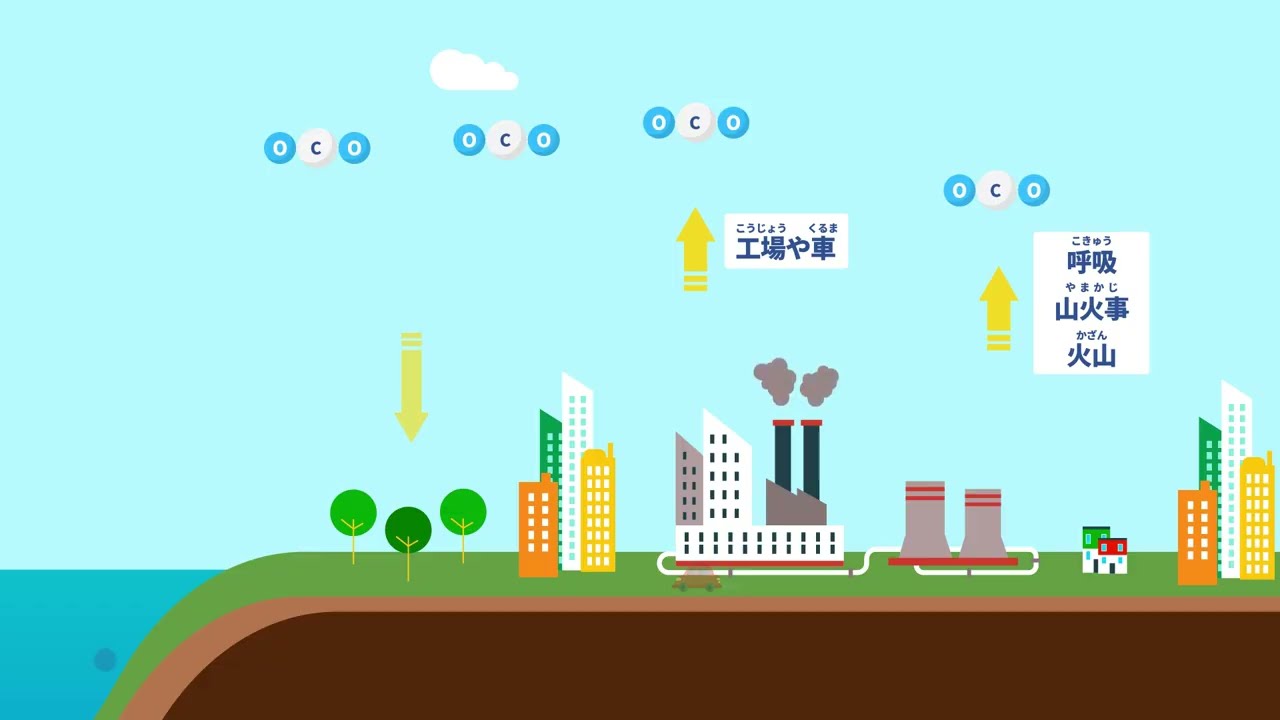 【海洋STEAM教材】深海まで運ばれる炭素 ~炭素循環の仕組み~