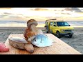 Coastal survival fishing clams wild mushrooms catch  cook