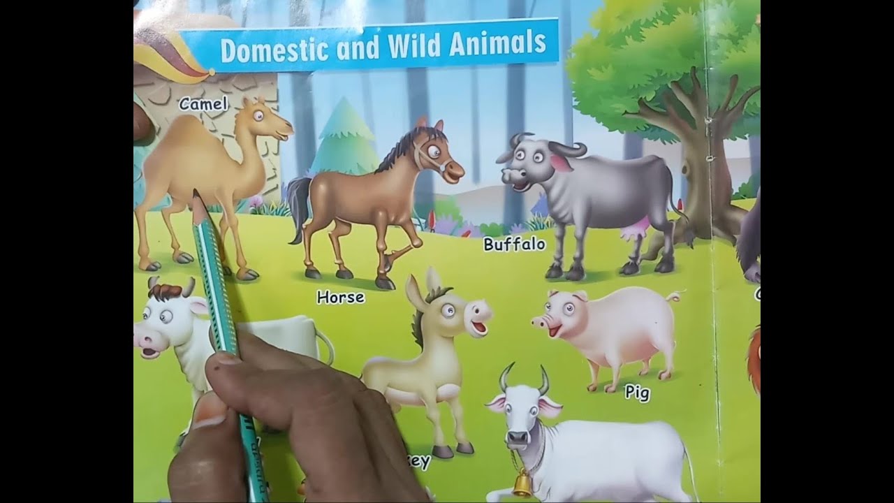 Domestic Animals - Domestic Animals Name, Meaning & Image | Domestic