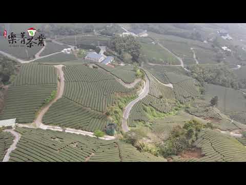 嘉義縣梅山鄉瑞峰村 / 樂菁茶業夥伴巡禮空拍