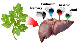 The Best Strategy for Detoxifying Heavy Metals (SAFELY)