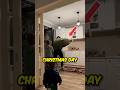 Christmas Tree Decoration 