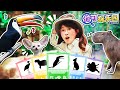 【伶可探樂園EP02】探尋珍稀動物！夏天暢游動物園 小伶玩具 | Xiaoling toy
