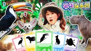 【伶可探樂園EP02】探尋珍稀動物！夏天暢游動物園 小伶玩具 | Xiaoling toy