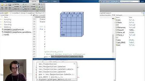 Using the Matlab Squeeze Function on a 3D Motion Capture Data Set