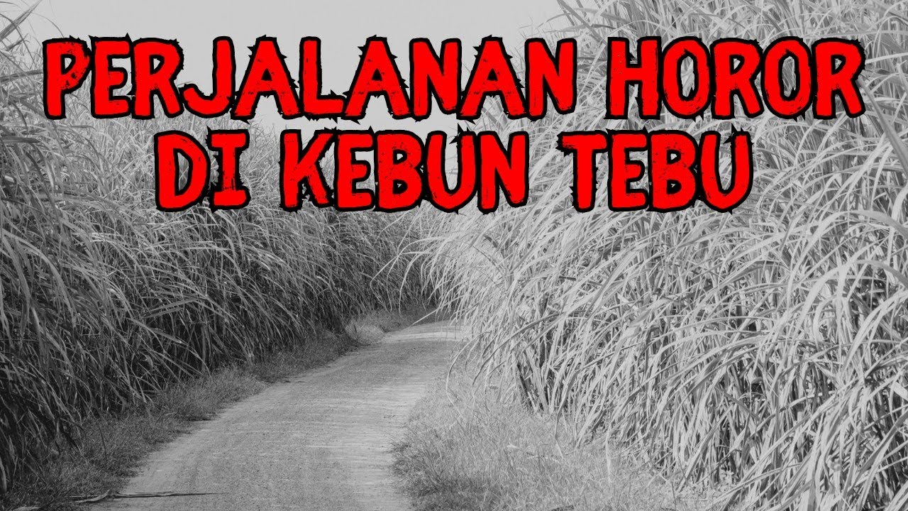 Podcast Horor | PERJALANAN HOROR NAIK MOBIL DI KEBUN TEBU | Cerita2 Seram Indonesia