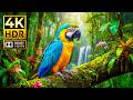 Ultimate 4K HDR Animal World Cinematic Wildlife In Dolby Vision 120FPS