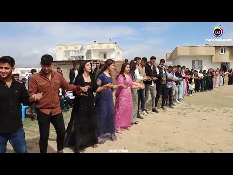 Şırnak Silopi Köy Düğünleri Bedru Köyü Nişanı Serhat Ürüm Nişanı  Ürüm Ailesinin Mutlu Günü
