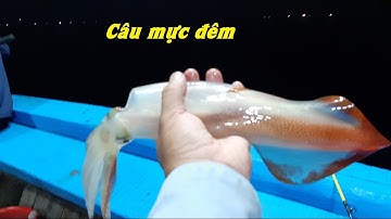 Trải nghiệm câu mực đêm trên biển đông – Phần 2 | Squid Fishing