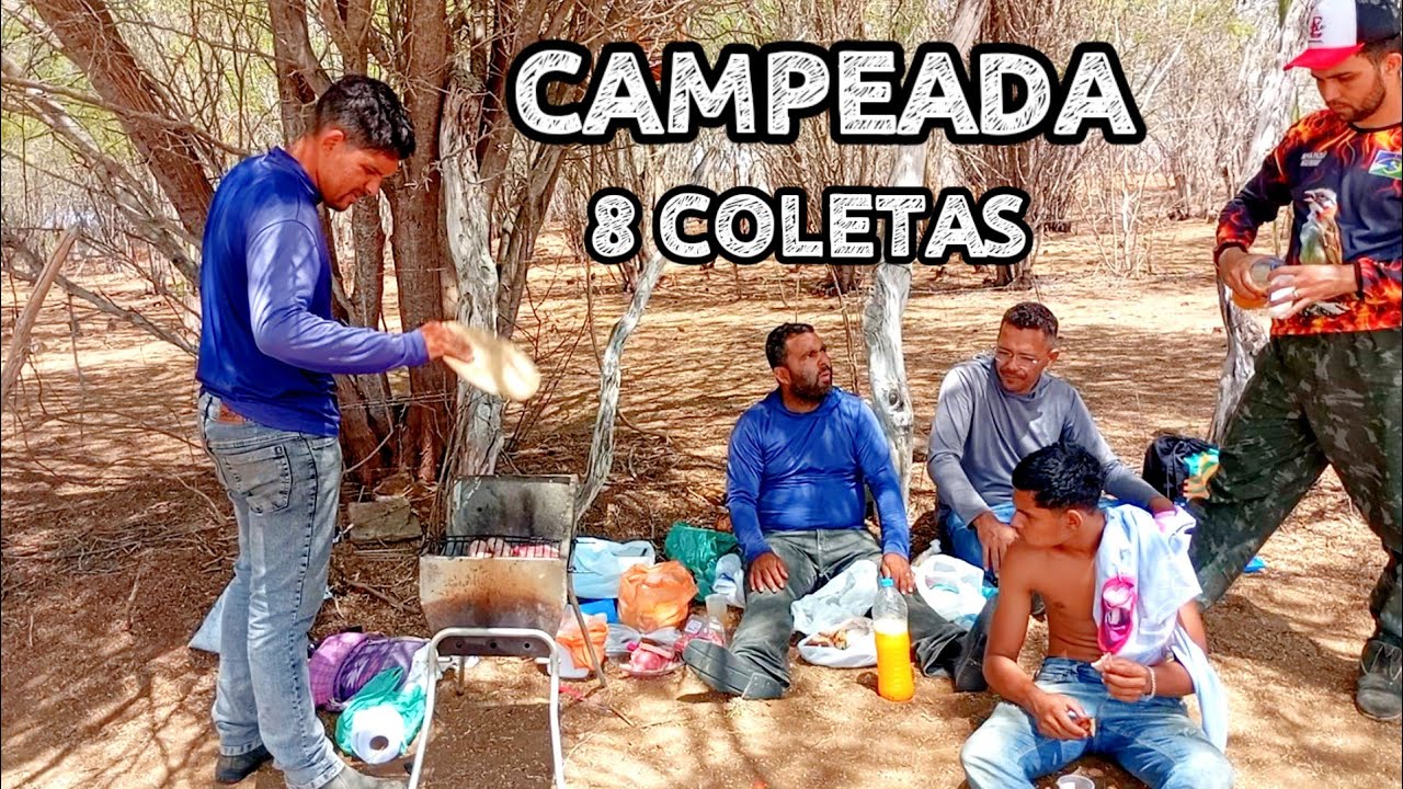 CAMPEADA #1 CAMPEONATO DE TICO-TICO ESTRONDA PEGADA LIVRE 8 COLETAS