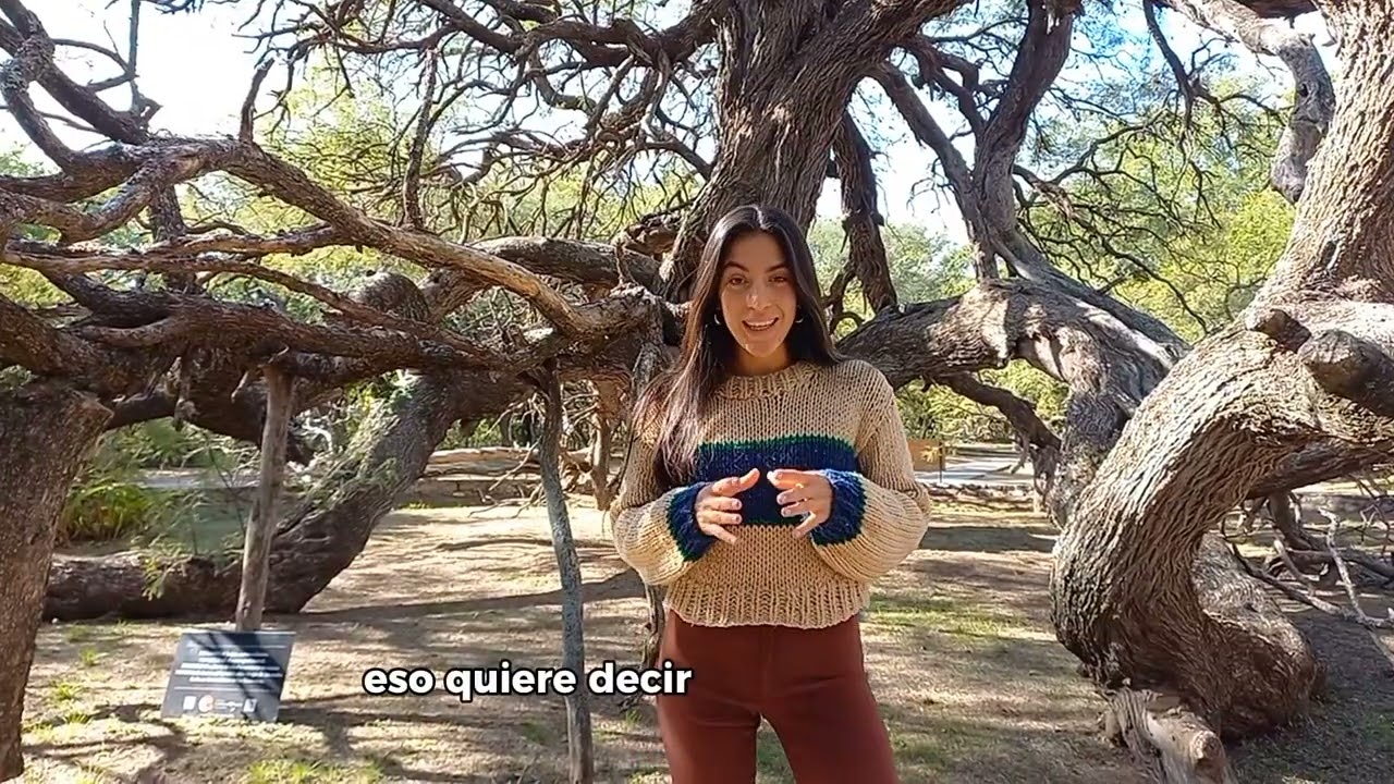 Descubrí Piedra Blanca Abajo: Historia, Cultura y Atracciones en Merlo, San Luis