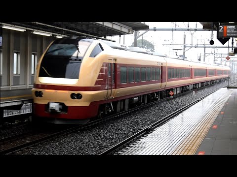 [国鉄特急色でE653再び関東へ]快速花咲くひたち海浜公園号 発車シーン