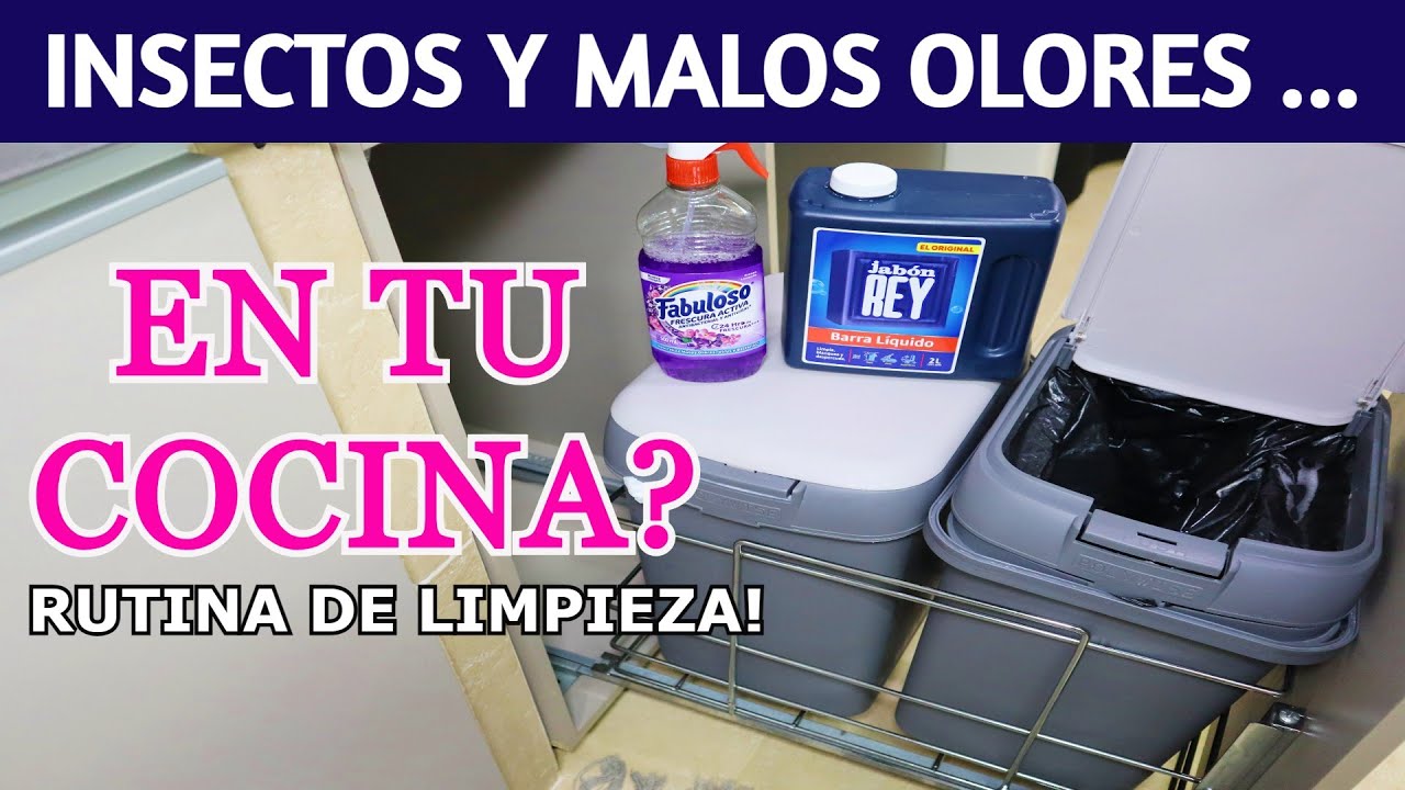 Cómo ELIMINAR MOSCAS y MALOS OLORES en tu COCINA / TRUCOS INFALIBLES ...