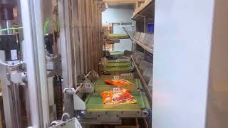TEGENE Carousel sorting machine