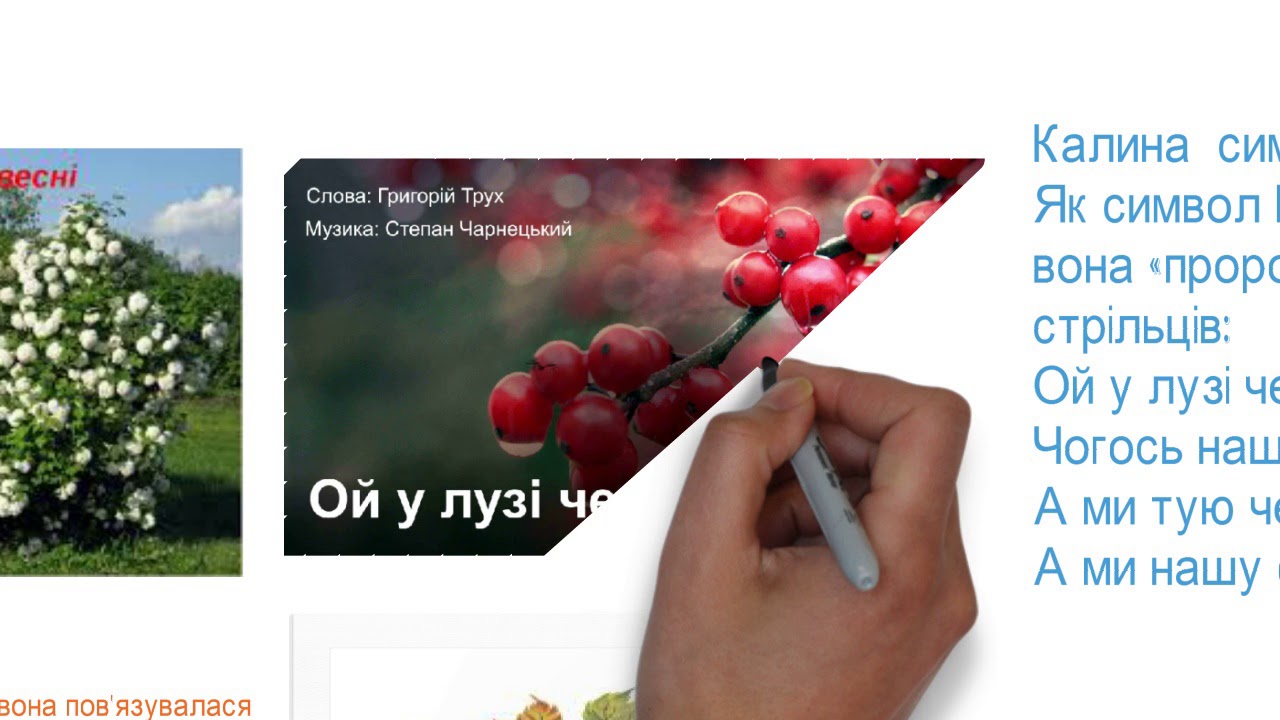 Калина вихоревка телефон