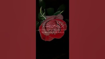 ماهر المعيقلي 🌿الله لطيف بعباده قرأن كريم سورة الشورى