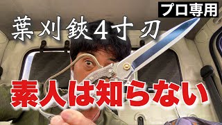 便利な庭木バサミ【ニシガキ葉刈り鋏】素人が知らない植木屋オススメオールマイティー植木鋏の紹介