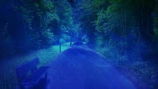 View of an Idyllic Park Path in Another Dimension - Rain Soundscape for Sleep, Dream and Relaxation