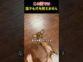 この国では 誰でも犬を飼えません