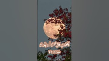 قراءة ورش ( القارئ / رعد الكردي )
