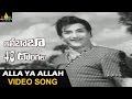 Alibaba 40 Donaglu Songs | Alla Ya Alla Video Song | NTR, Jayalalitha | Sri Balaji Video