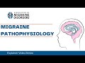 Migraine pathophysiology  chapter 3  migraine explainer series