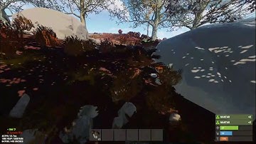 Eu Stevious 2x large Hack