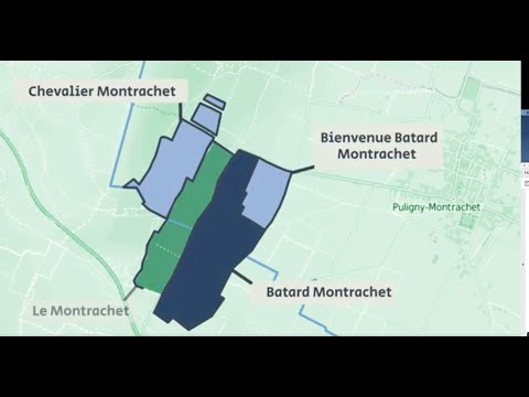 Video: Hvorfor Hvide Vine Drikkes Kølet