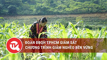 Đoàn ĐBQH TPHCM giám sát chương trình giảm nghèo bền vững | Truyền hình Quốc hội Việt Nam